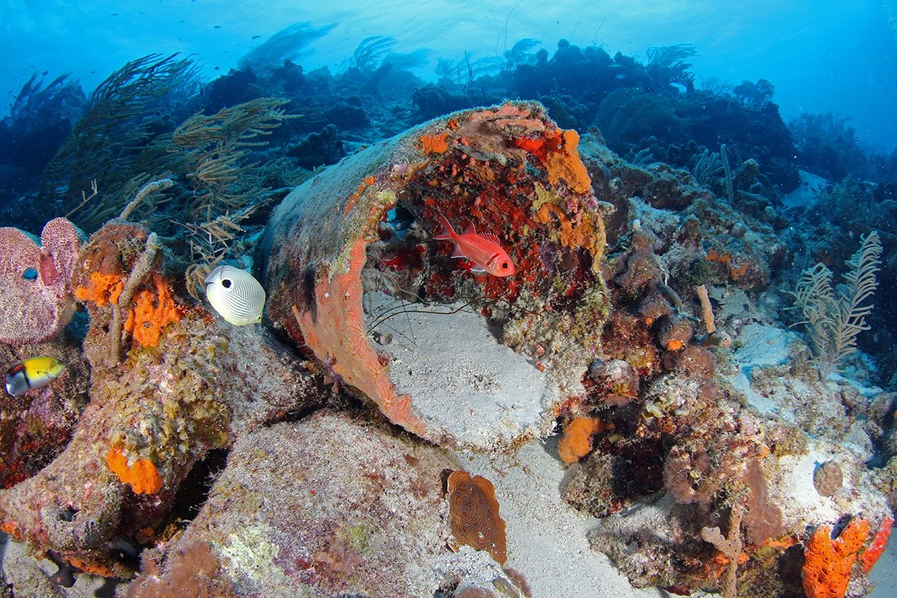 Curaçao é escolhido como melhor destino de mergulho no Caribe para 2021!